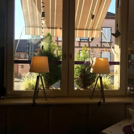 Otel Weiss Wissembourg