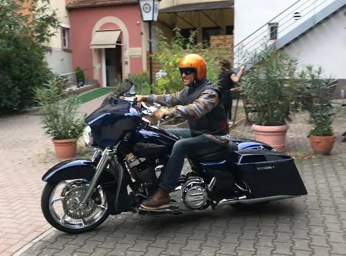 Ξενοδοχείο Weiss Wissembourg